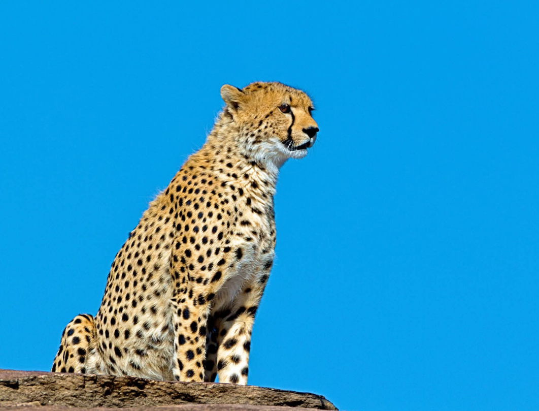Destination Tanzania