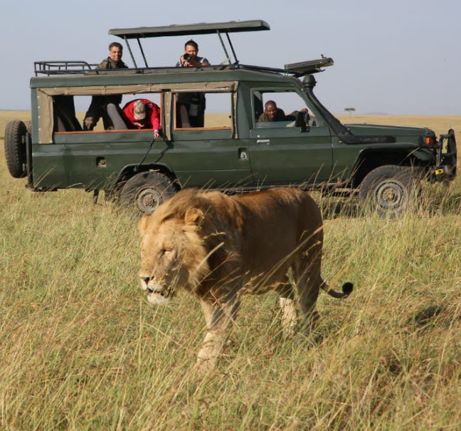Kenya Private Safari