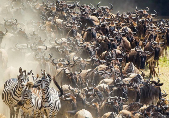 12 Days Tanzania Private  Safari