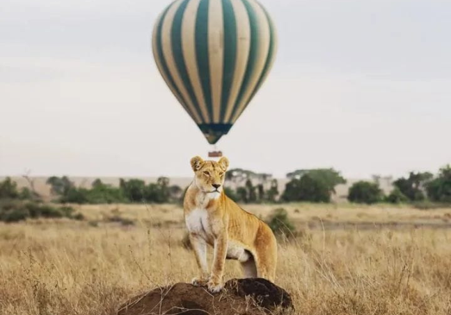 5 Days Tanzania Private Safari