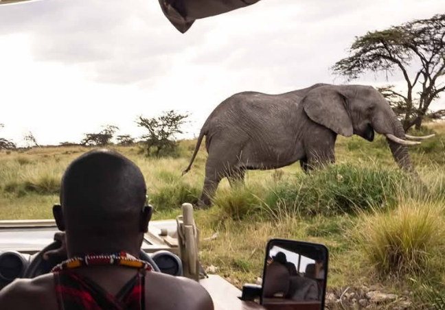 5 Days Tanzania Luxury Safari