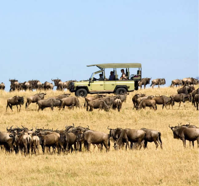 Tanzania Private Safari